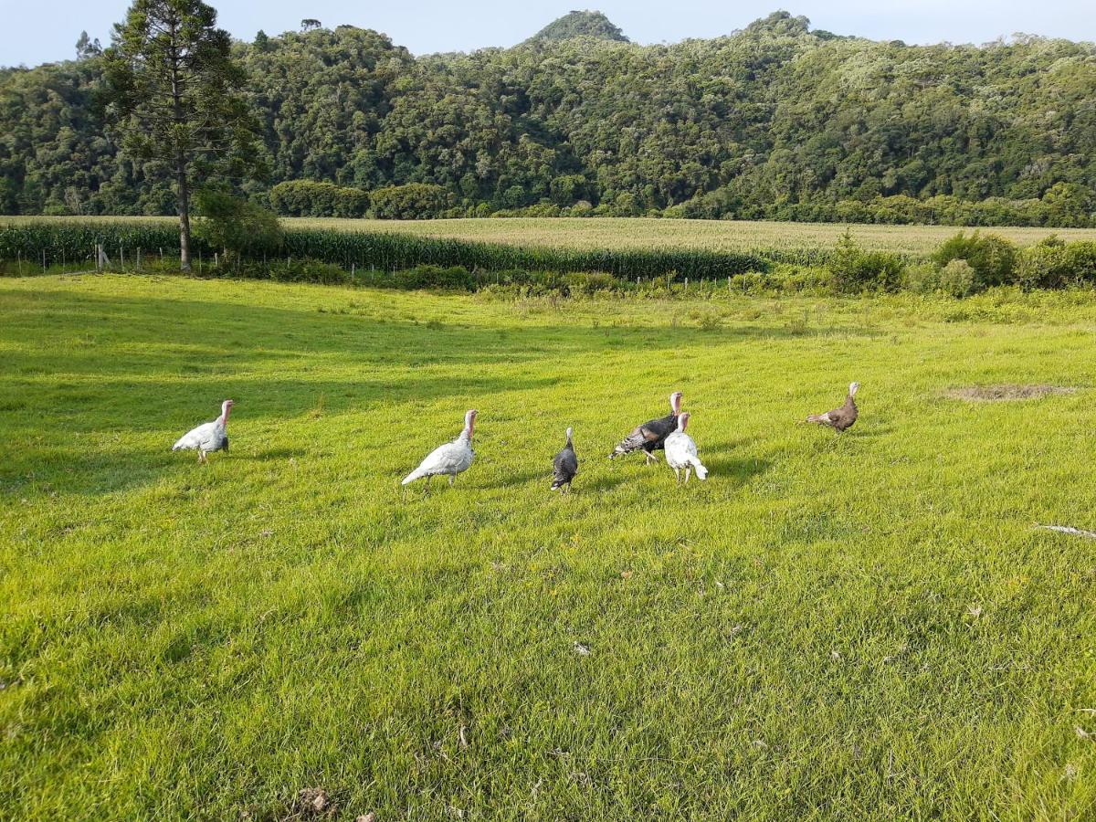 Fazenda Tamanduá Casa de Campo - Cabana Coragem Villa Rio Rufino Esterno foto